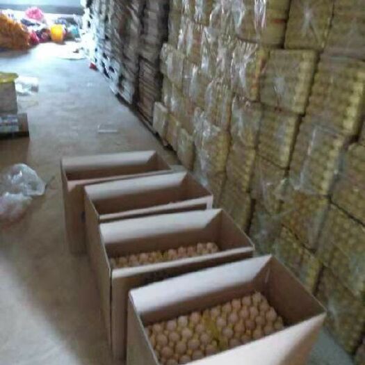永州 大量供应土鸡蛋 批发