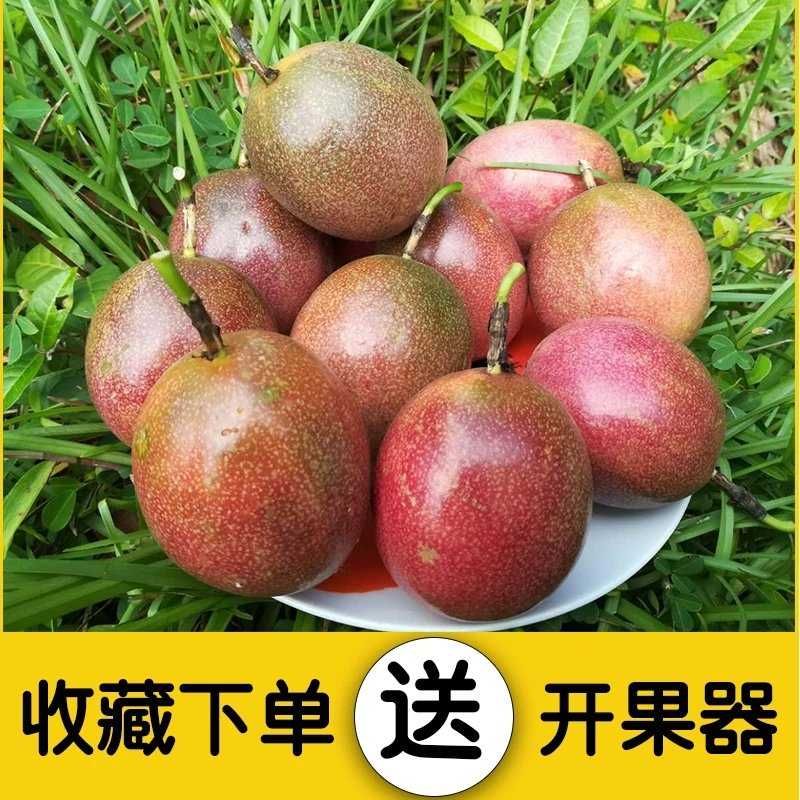 紫香一号百香果  百香果整箱5斤起批
