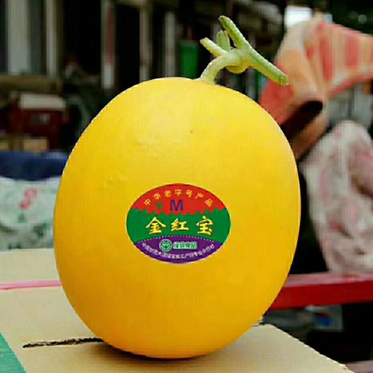 民勤县 解暑佳品，民勤蜜瓜