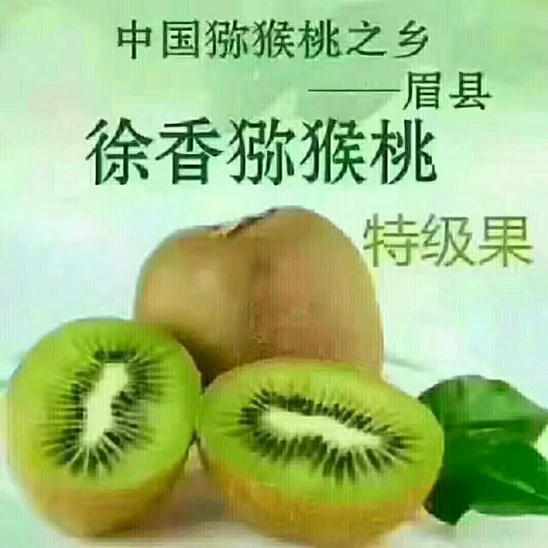  眉县徐香猕猴桃，酸酸甜甜刚刚好；原产地现摘现发舌尖上的美味