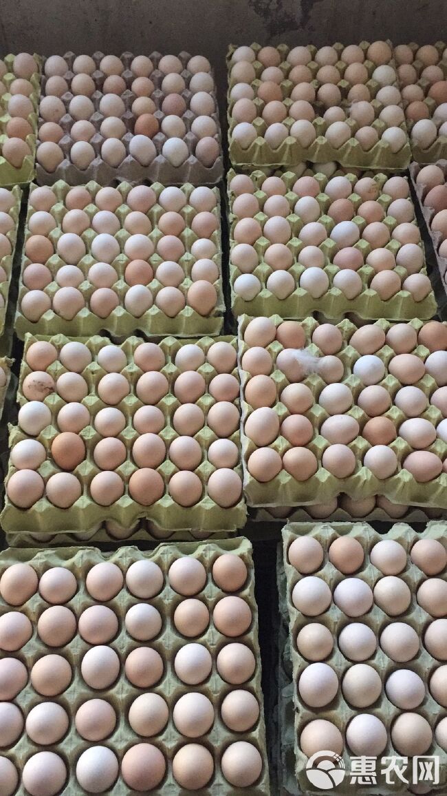 土鸡蛋农家自养柴鸡蛋散养草鸡蛋月子蛋河南新乡 无抗420枚