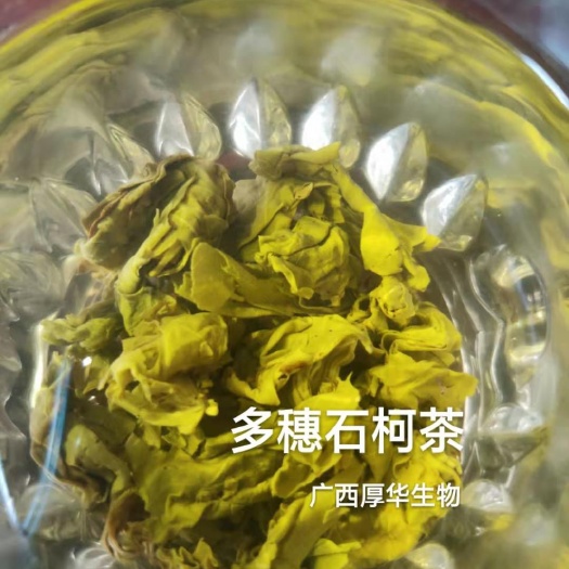 龙胜县多穗石柯 甜茶 茶 高档功能性保健茶批发零售!