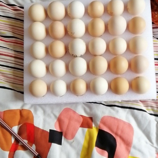 略阳县土鸡蛋 食用 箱装