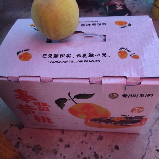 锦绣黄桃 奉贤锦绣红桃