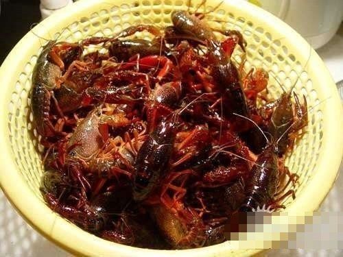 湘潭县青红虾 4-6钱 人工养殖