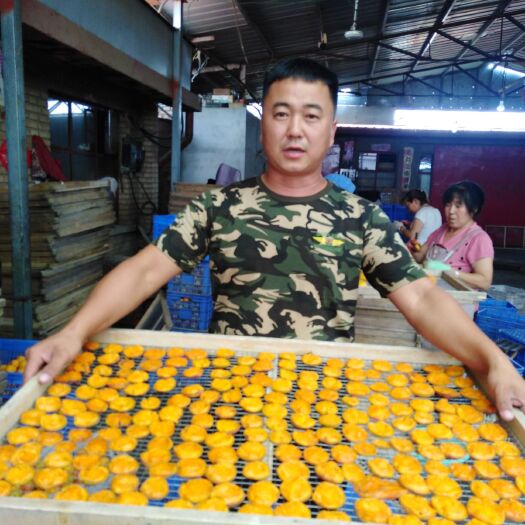 蔚县木瓜杏干 6-12个月