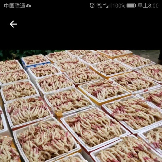 全州县紫姜 优质石塘姜