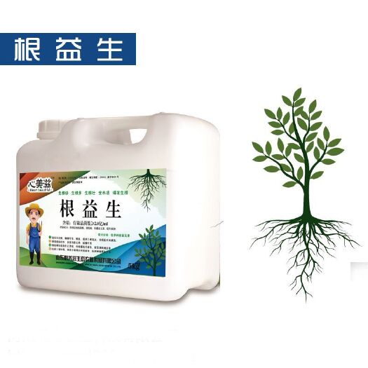 济宁菌肥  根益生