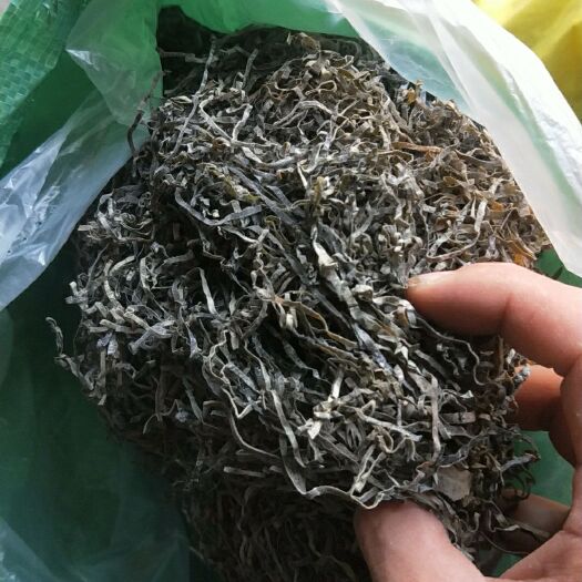 霞浦无沙海带丝（好评100）