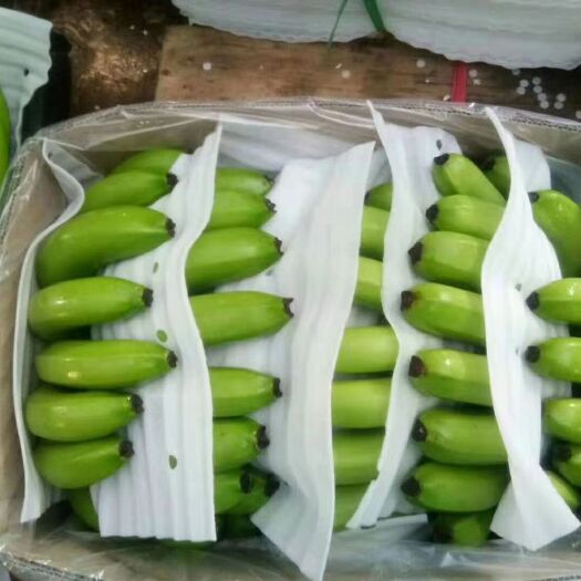隆安县巴西香蕉 好货分享