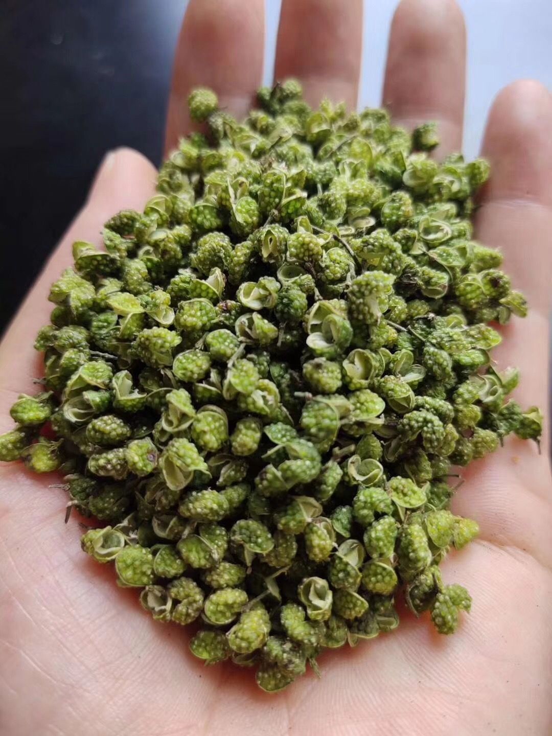 云南昭通青花椒