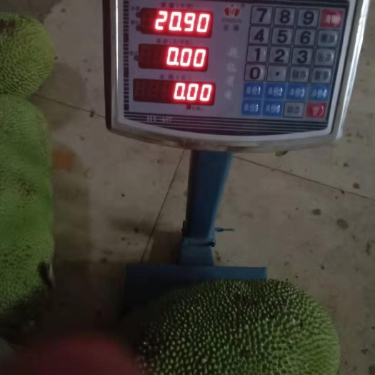 海口 菠萝蜜
