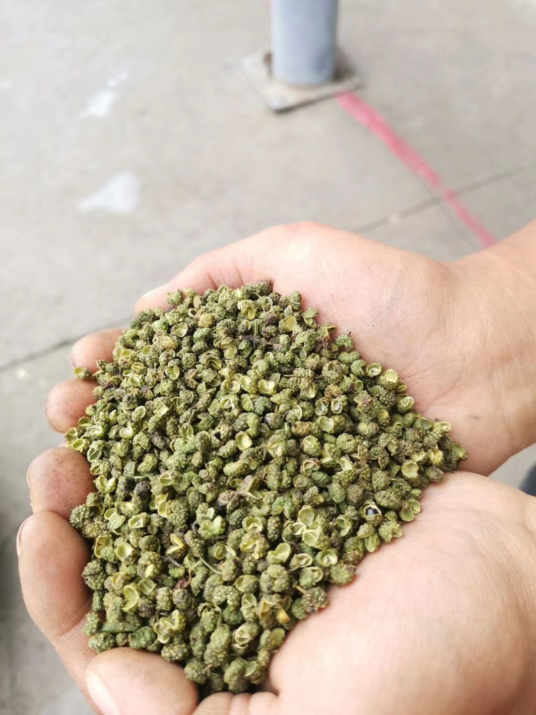  云南昭通青花椒