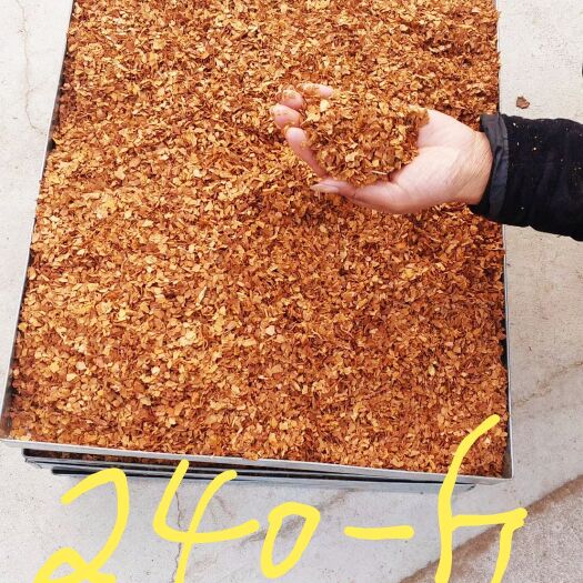 临江市派特 微