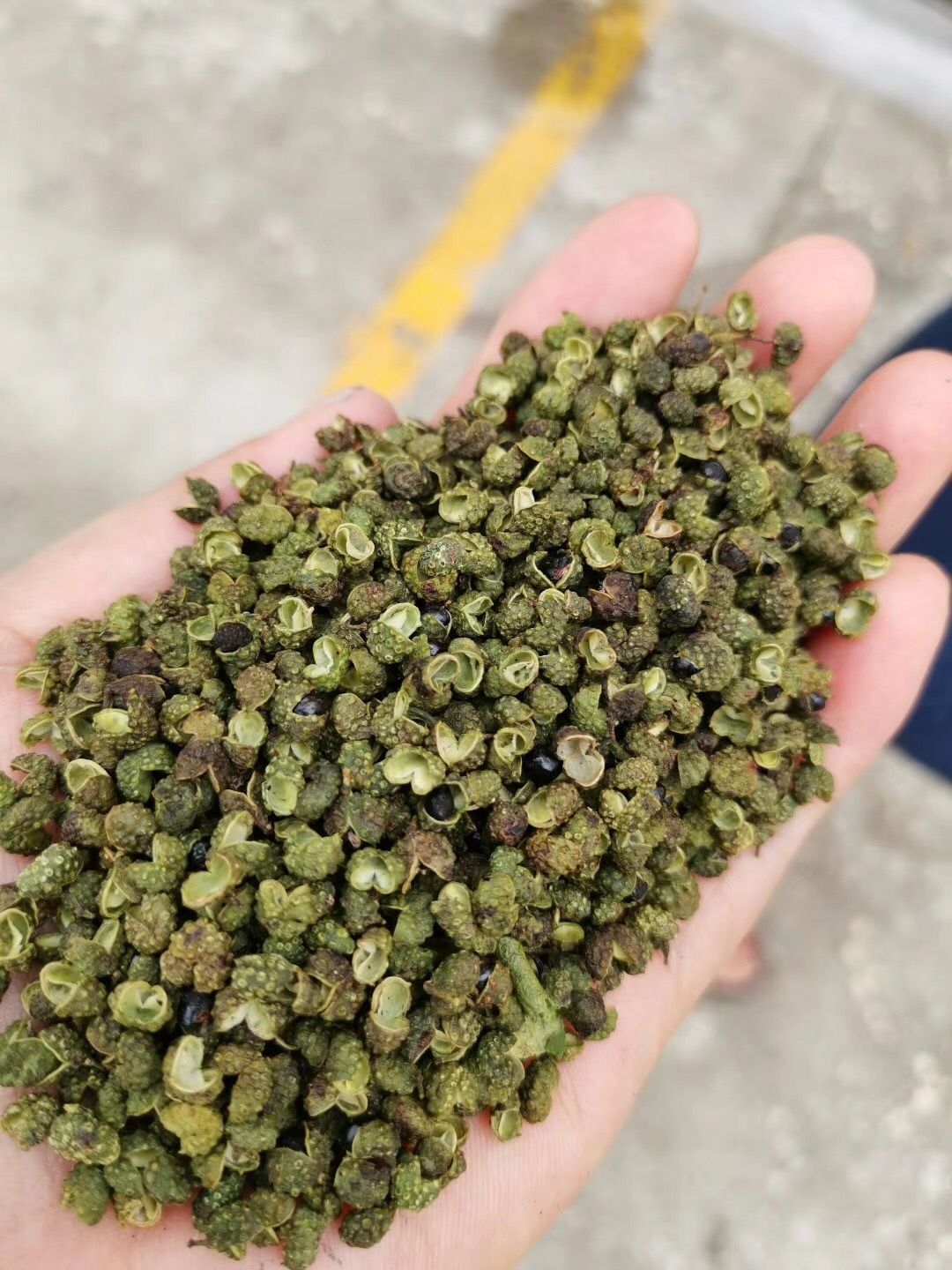  云南昭通青花椒