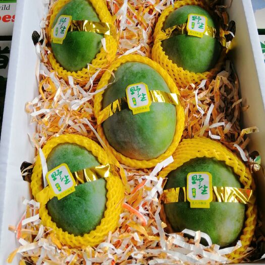 嘉兴红玉芒 四川攀枝花精品凯特10小件装