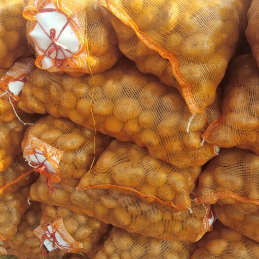 喀喇沁旗荷兰803 1~3两