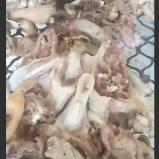 阳信县羊头脸 熟羊头肉，五香入味