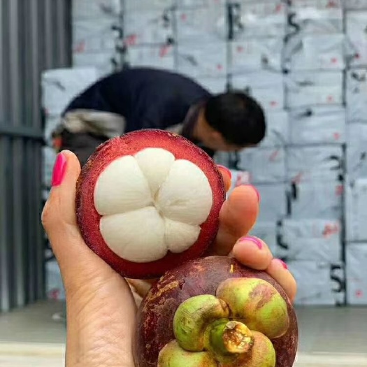 南宁 泰国山竹新鲜一箱水果直批整箱大热带当季三竹
