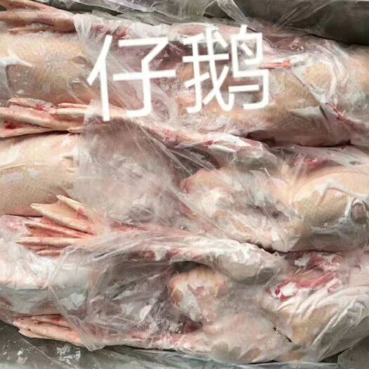 新蔡县 白条鹅