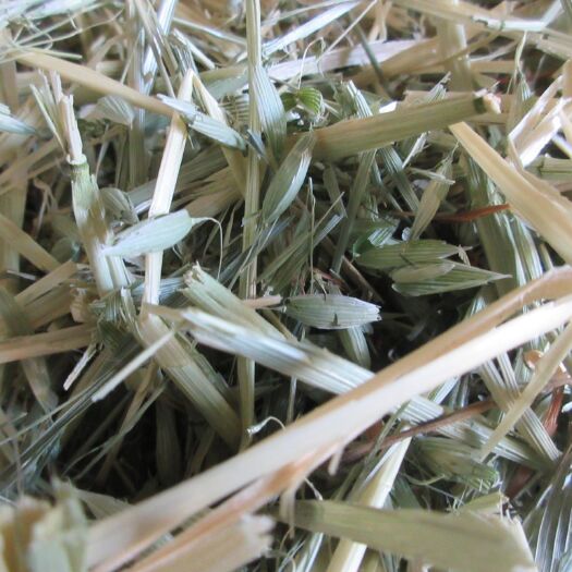 阿旗 燕麦草，苜蓿草