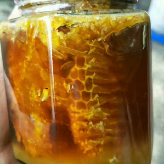 瑞丽市 长期供应缅甸野 生大挂蜂蜜
质量保证，如假包退
欢迎选购