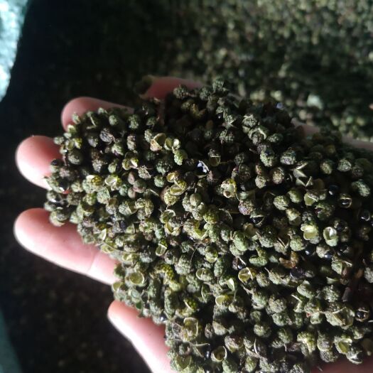 盐源县花椒 青花椒干货 一斤包邮24小时发货产地直发
