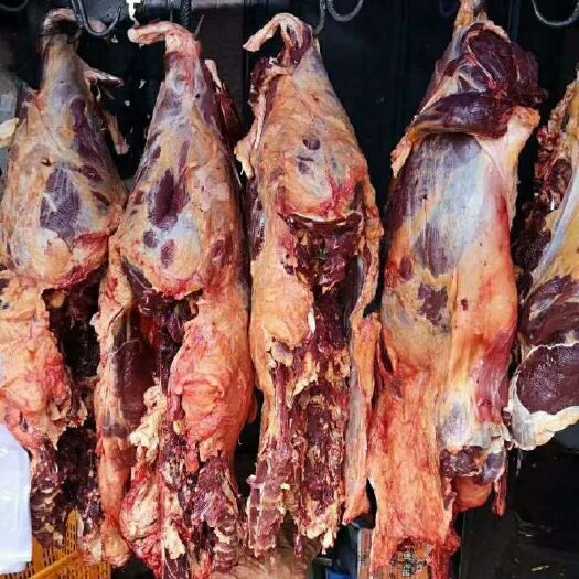 牛肉类  高原特产藏族牦牛肉批发