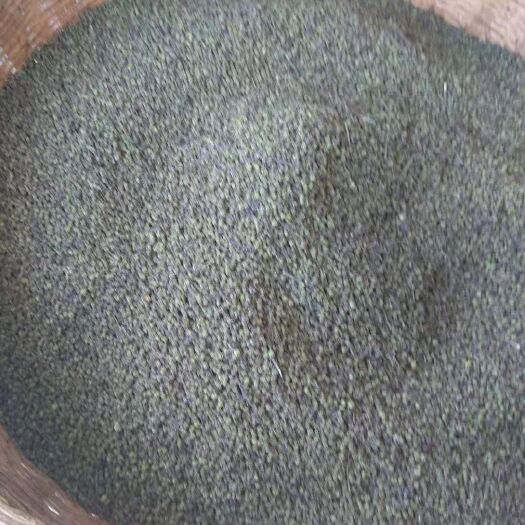 罗城县 广西中花吴茱萸