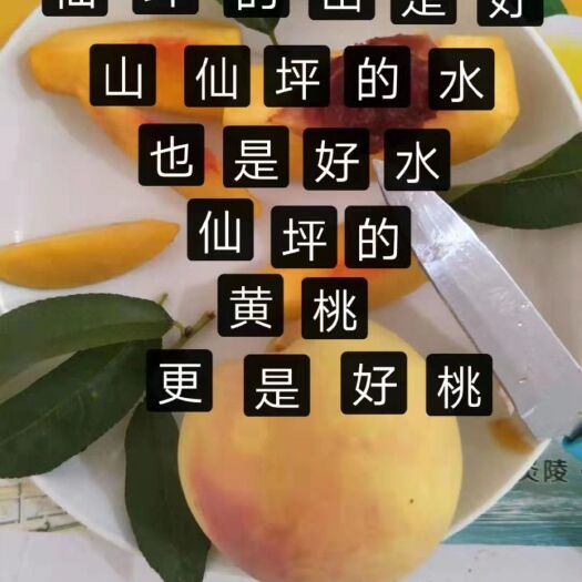 炎陵县炎陵黄桃 60mm以上 4两以上