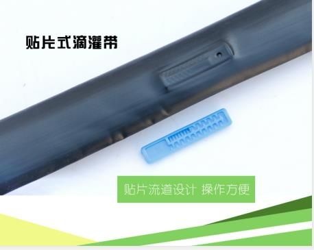 济南贴片式滴灌带 厂家直销贴片滴管带