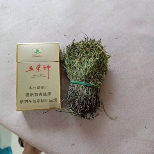 德庆县独脚柑 独脚金，去杂质，颜色青绿
