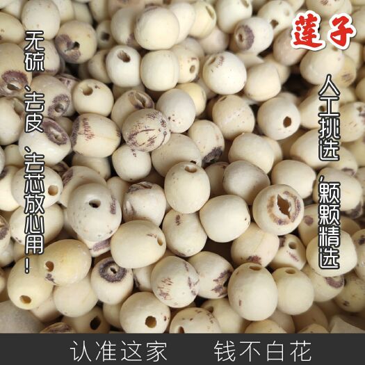 安国市白莲子 湘莲 湘潭莲子 干货 去皮去芯 一斤包邮