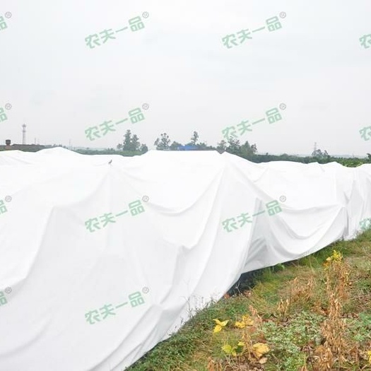 东莞市 农夫一品防寒布，透光透气防水强！抵御防寒的第一选择！