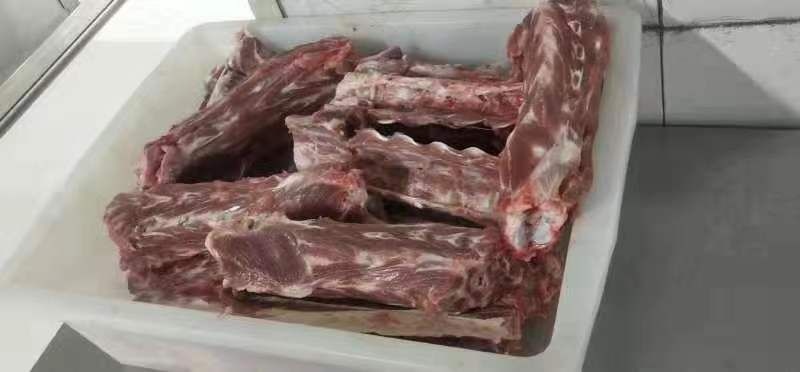 环县 羊脊骨