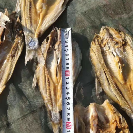 都昌县开背翘嘴鱼开背翘嘴白鱼干