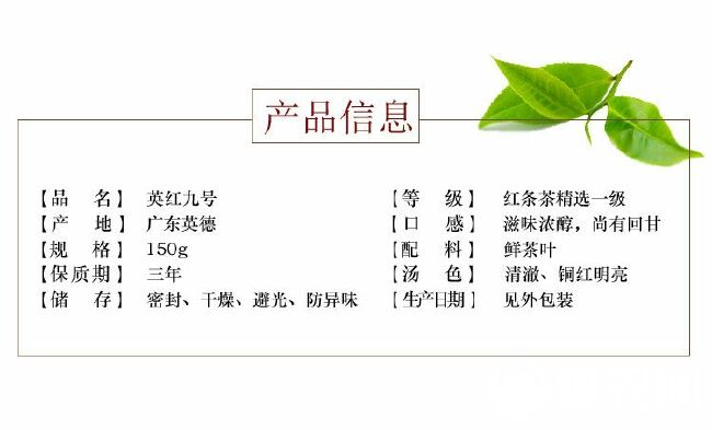  英德红茶 英红九号  创美聆红  花香型