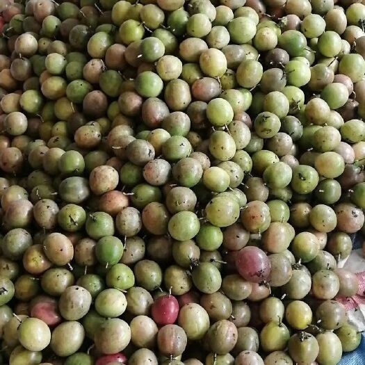 灵山县 大量百香果供应。欢迎来扰。嘻嘻。
