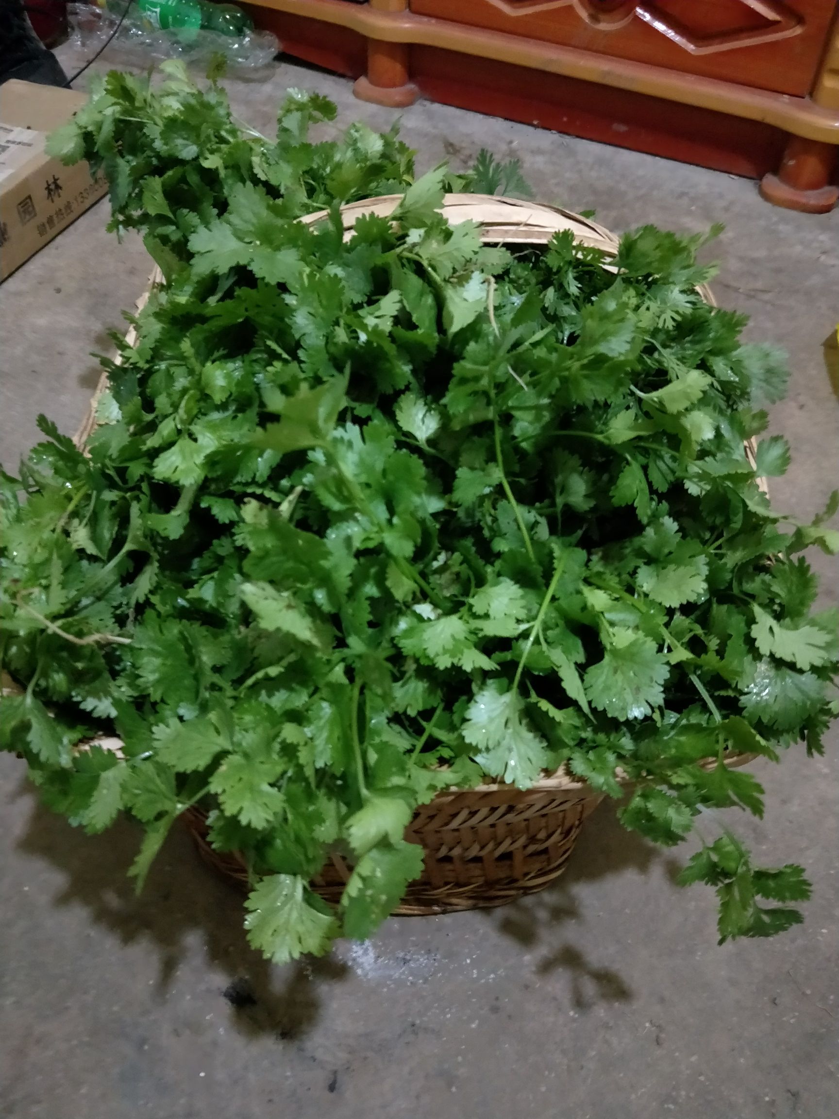 香芹 香菜