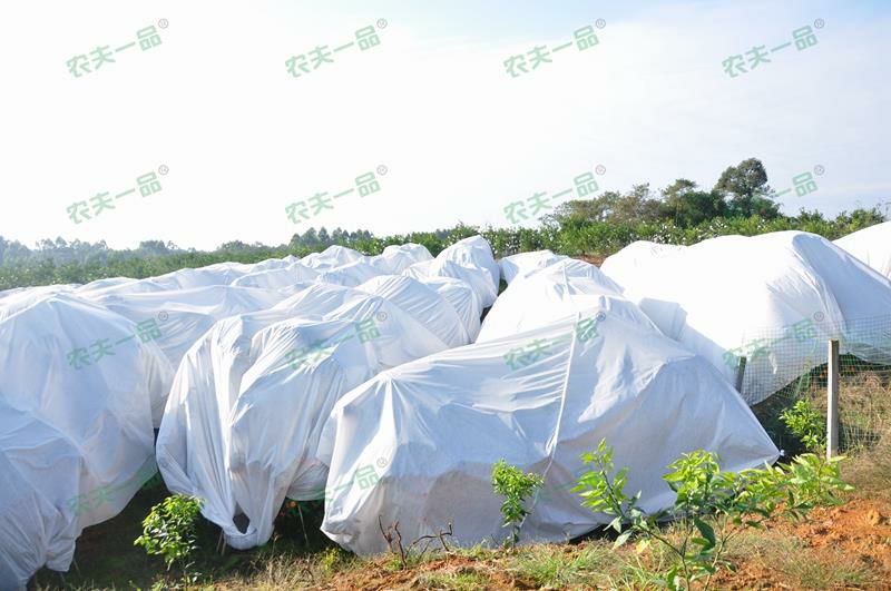 防雨布 农夫一品防寒布，透气保温又防水！果农的好帮手！