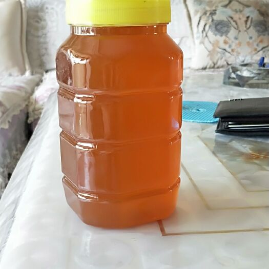 阿克苏市枣花蜜 新疆红枣蜜  包邮到您家