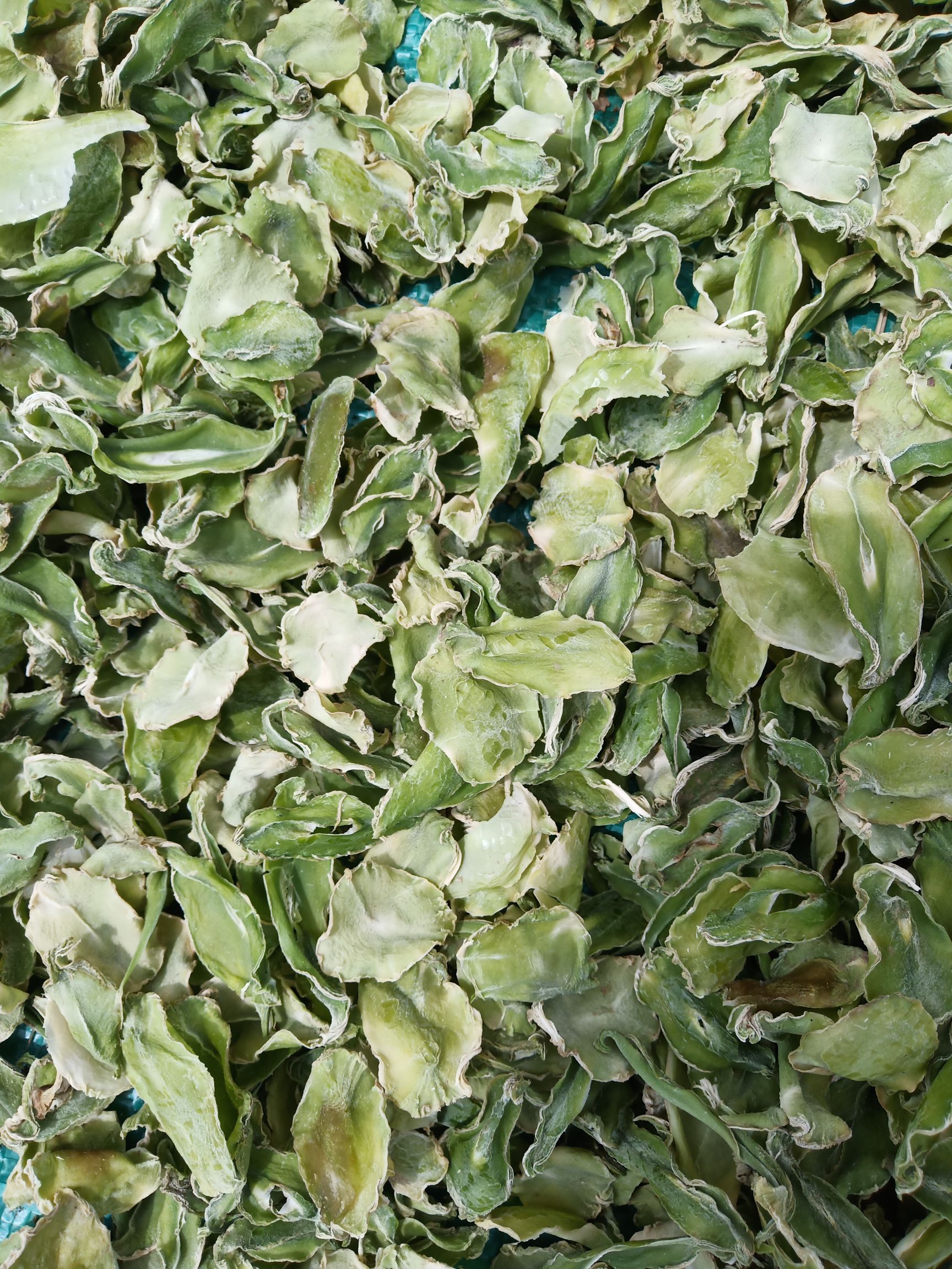 莴笋干 干笋 脱水窝笋干 贡菜一斤  包邮