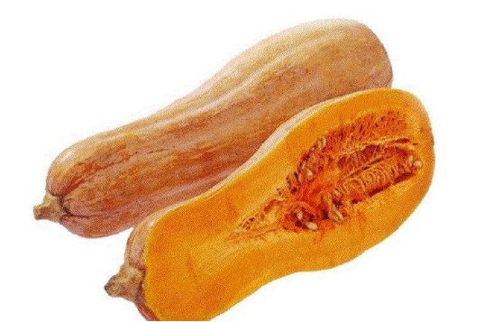 盐城最好的产品给最好的你，蜜本南瓜大量上市