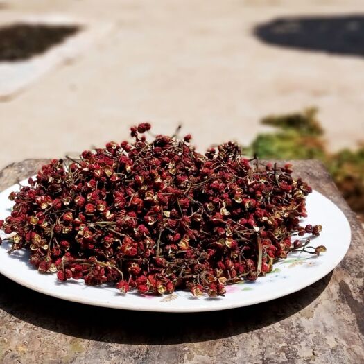 渑池县 大红袍特级花椒现摘自产自销包邮二十四小时发货量大从优