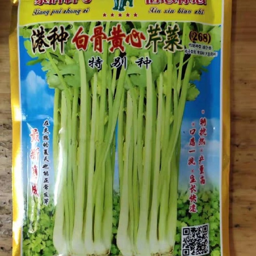 樟树市港种白骨黄心芹菜种子白象牌香芹种子早熟耐湿耐寒抗病蔬菜种