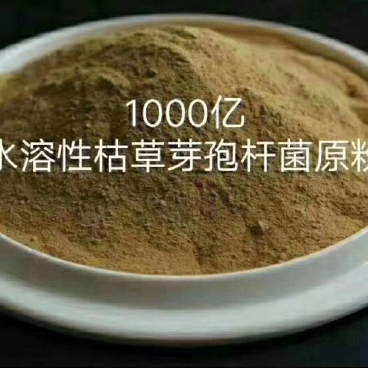 新泰市复合微生物菌剂 枯草芽孢杆菌 1000亿活菌每克
