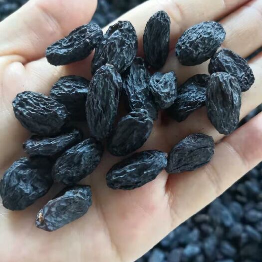 吐鲁番黑加仑葡萄干 特级黑加仑，无把，25元每斤