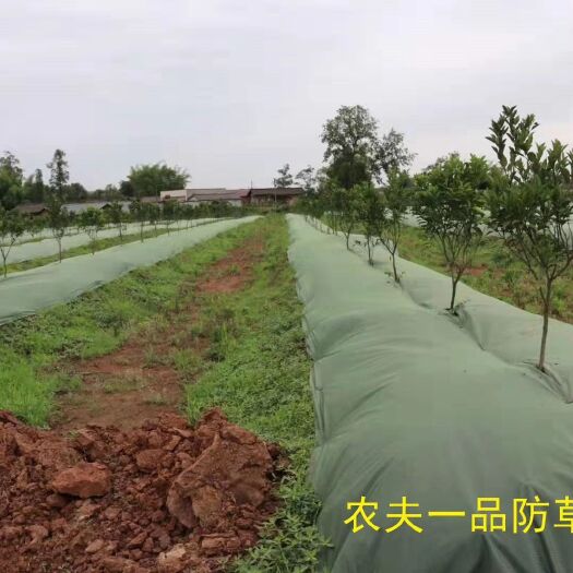 东莞市地布 专业生产厂家环保可降解防草布！透气渗水样样精通！