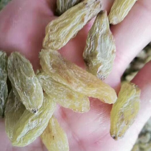 吐鲁番绿香妃葡萄干 诚信经营，童叟无欺，货优价低，薄利多销