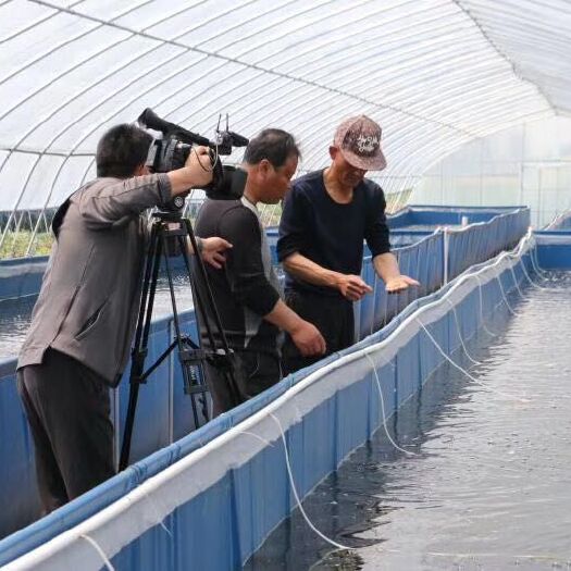 沭阳县 水产养殖大棚水产养殖网箱